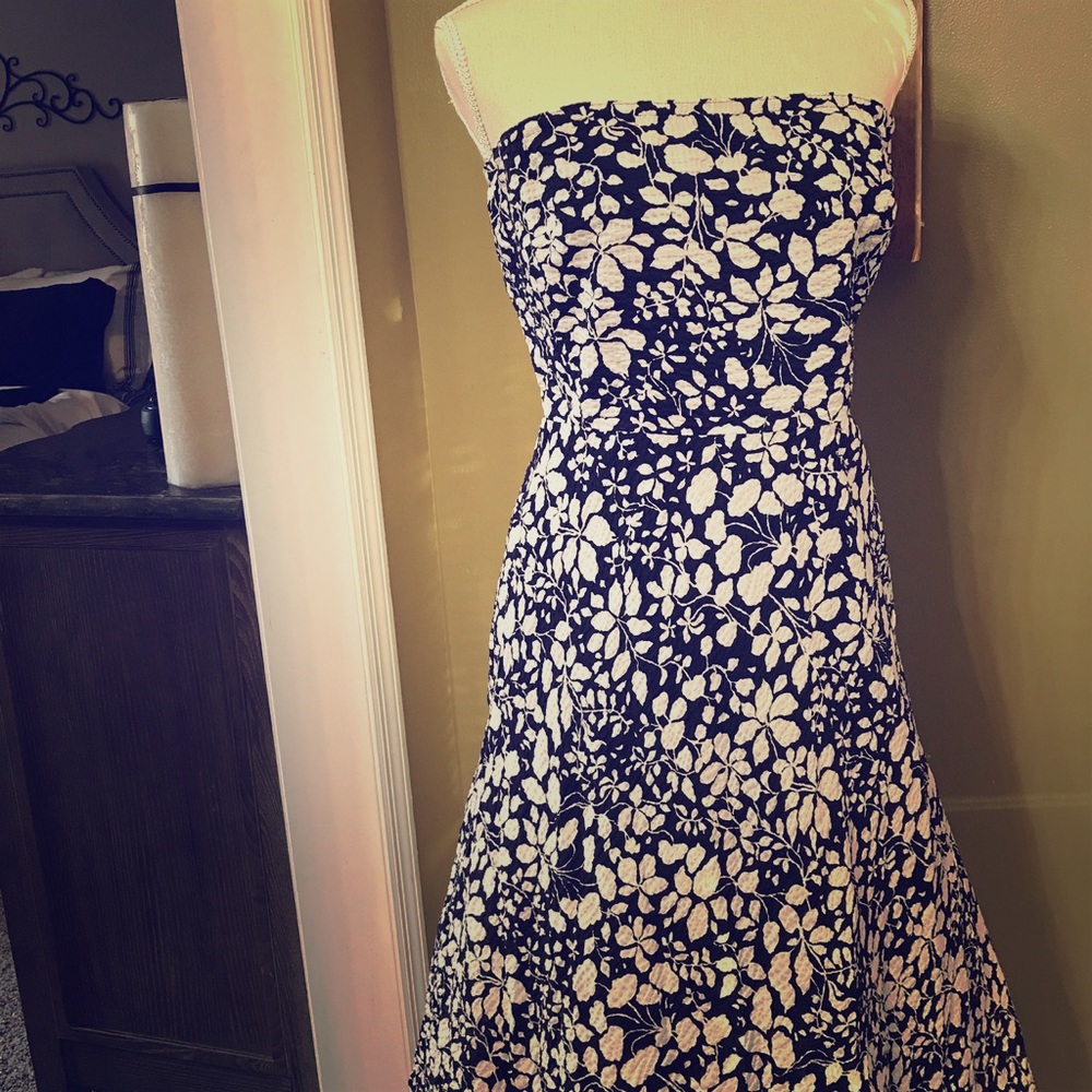 J.Crew Dress